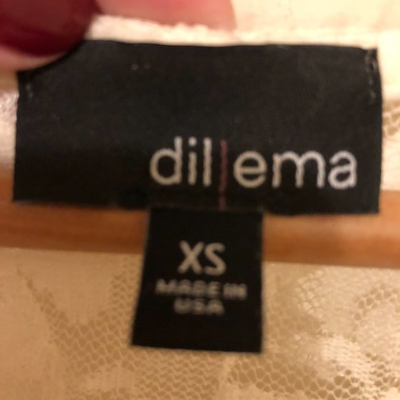 Aritzia Dillema Lace Skater Dress - Picture 5 of 16